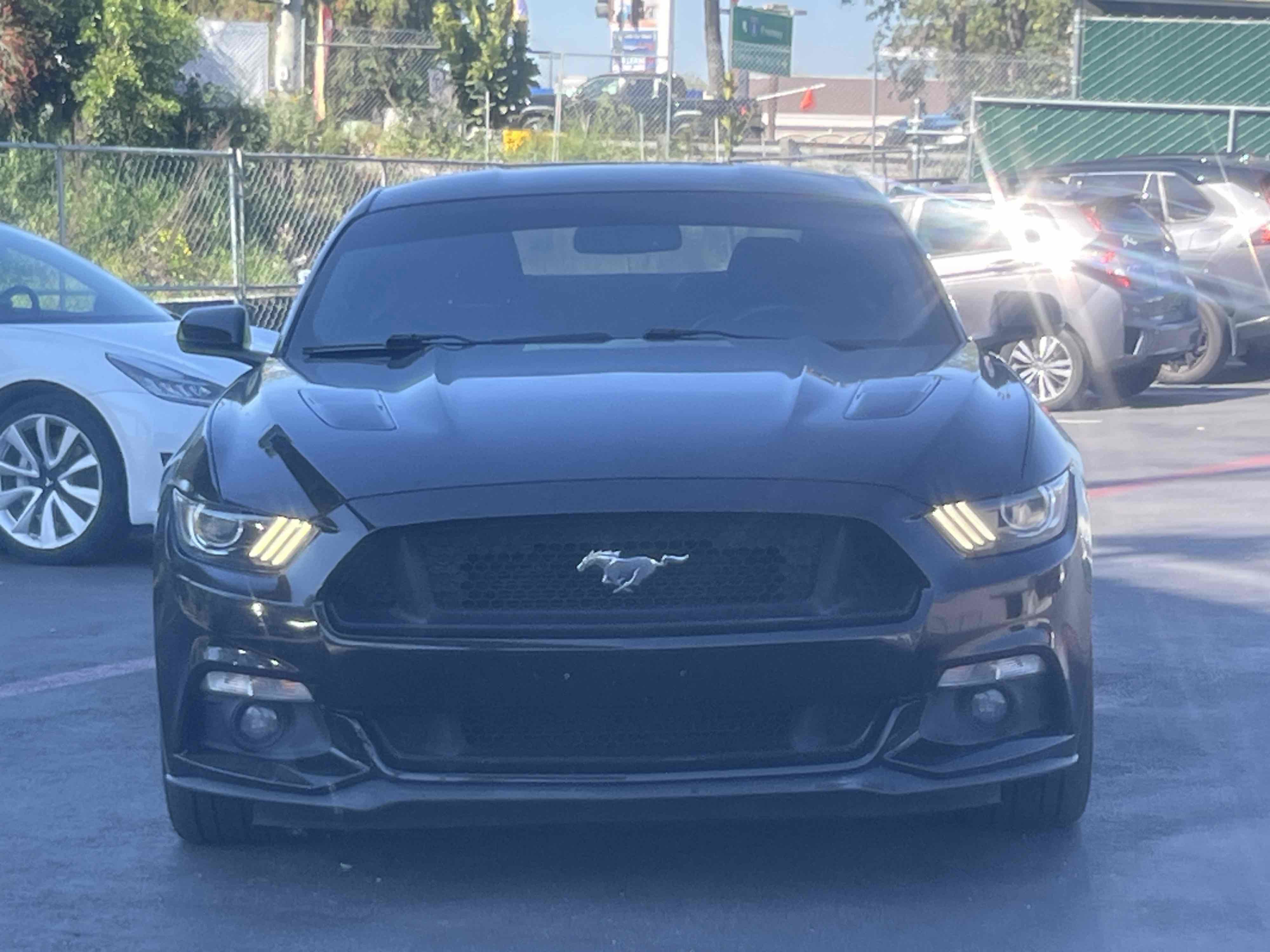 Used 2015 Ford Mustang GT Premium w/ Equipment Group 401A image 4