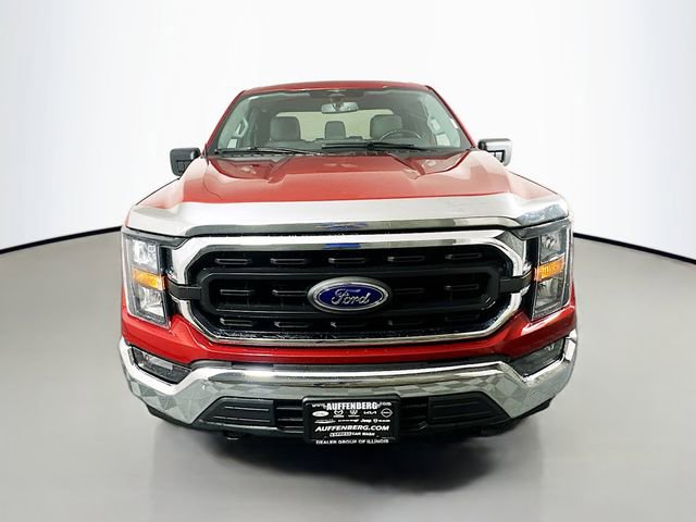 Used 2023 Ford F150 XLT w/ Equipment Group 301A Mid image 2