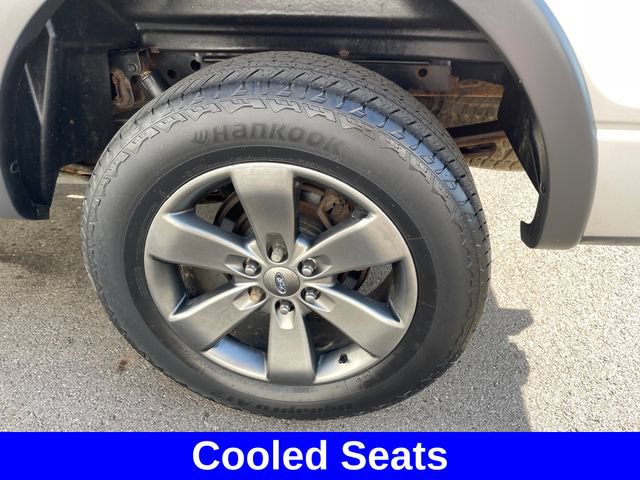 Used 2013 Ford F150 FX4 w/ Luxury Equipment Group AWD/4WD image 41
