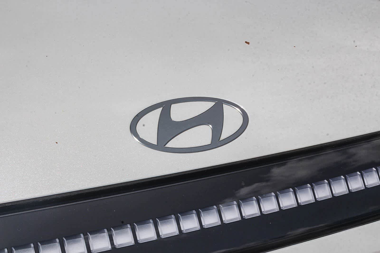 New 2026 Hyundai Ioniq 9 Calligraphy image 14