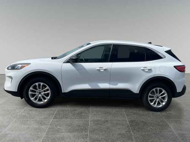 Used 2022 Ford Escape SE AWD/4WD image 2