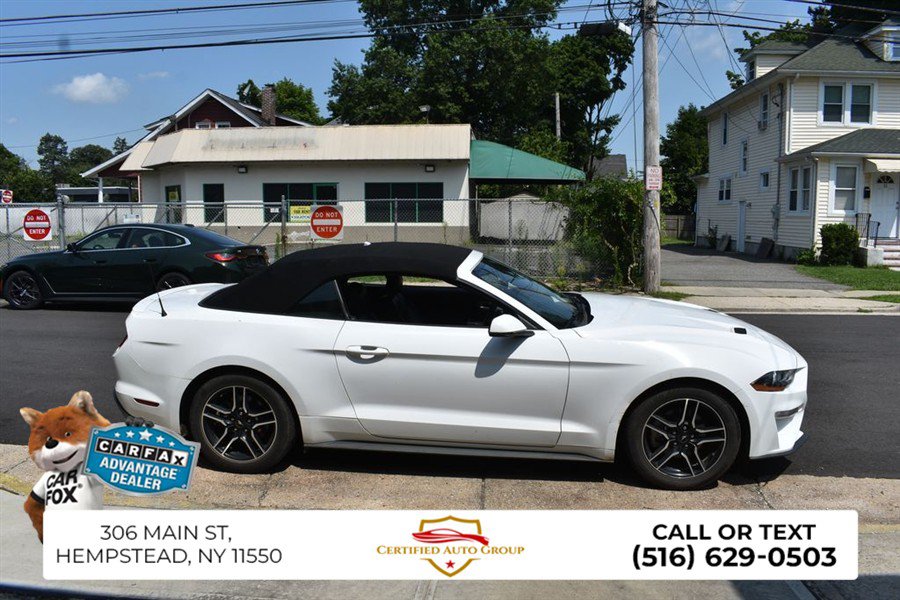 Used 2023 Ford Mustang Premium w/ Equipment Group 201A RWD image 5