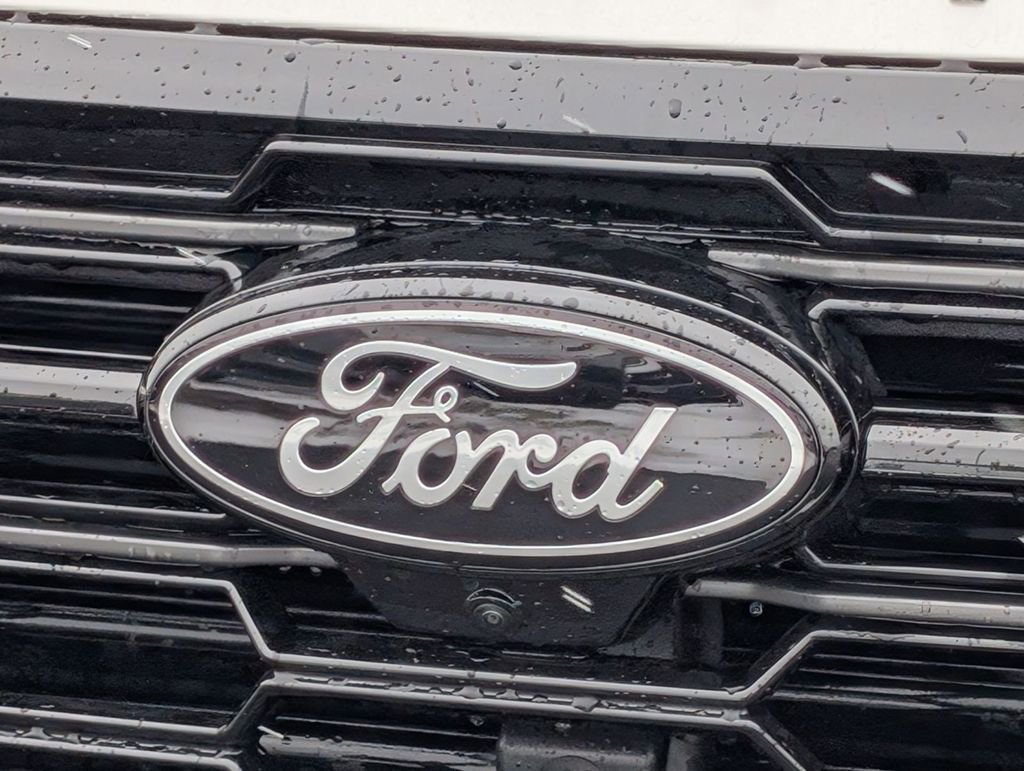 New 2025 Ford Expedition Platinum w/ Stealth Performance Package image 13