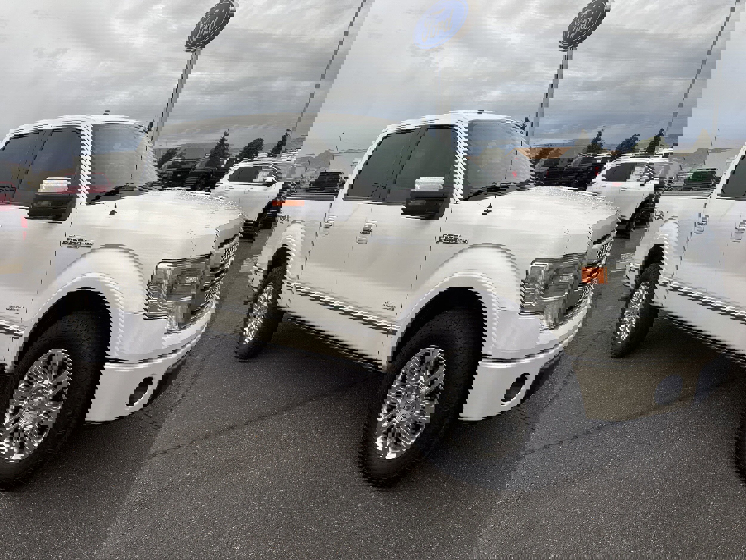 Used 2013 Ford F150 Platinum