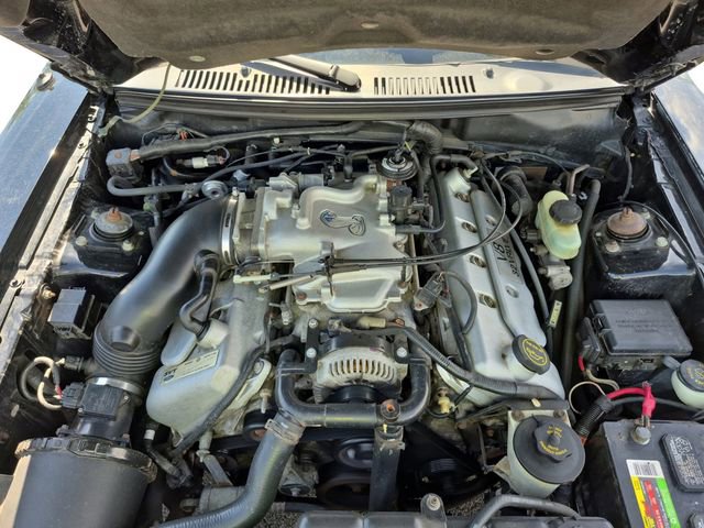 Used 2001 Ford Mustang Cobra RWD image 20