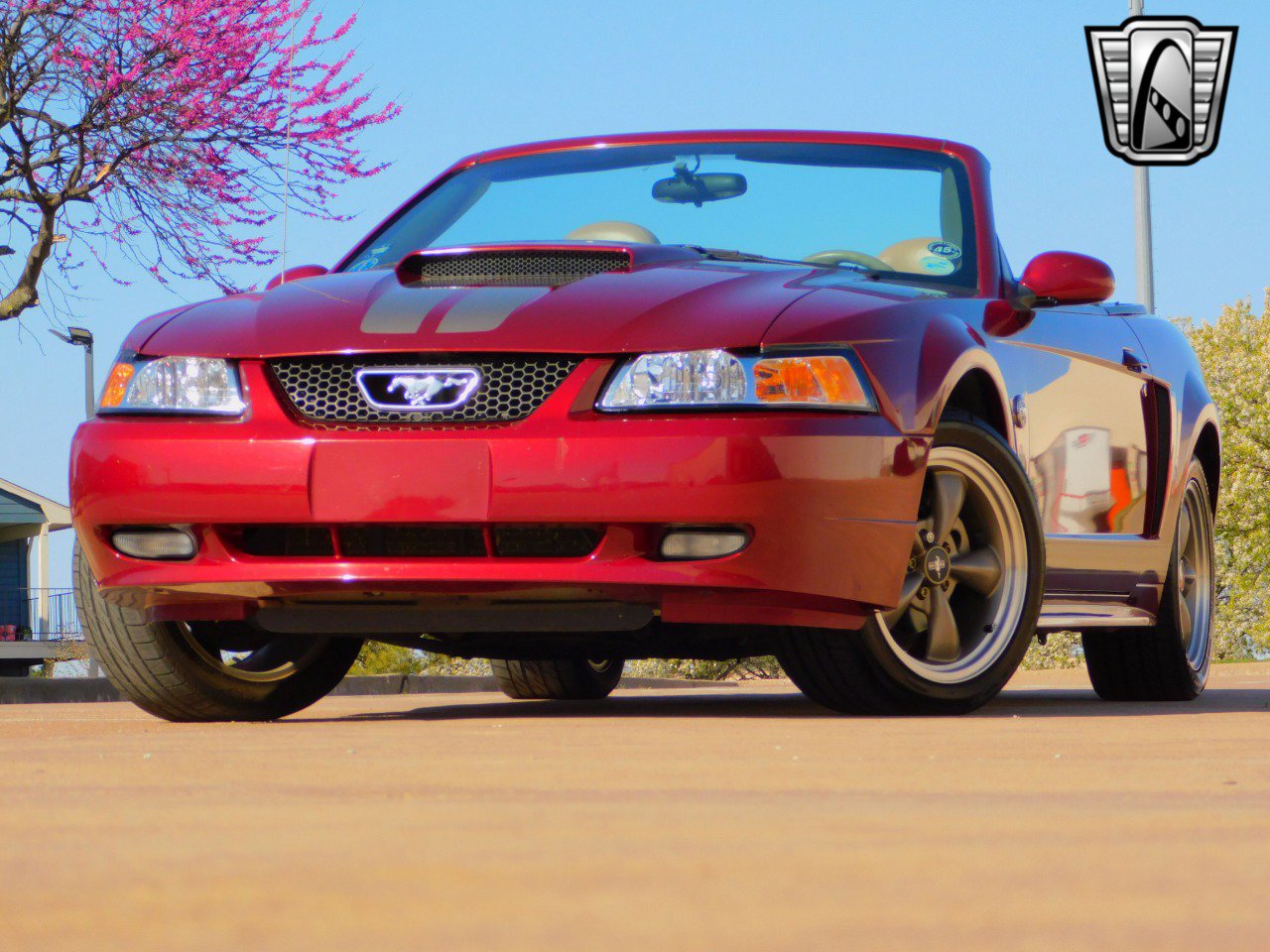 Used 2004 Ford Mustang GT image 2