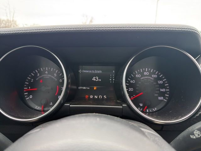 Used 2021 Ford Mustang EcoBoost w/ Equipment Group 101A image 33