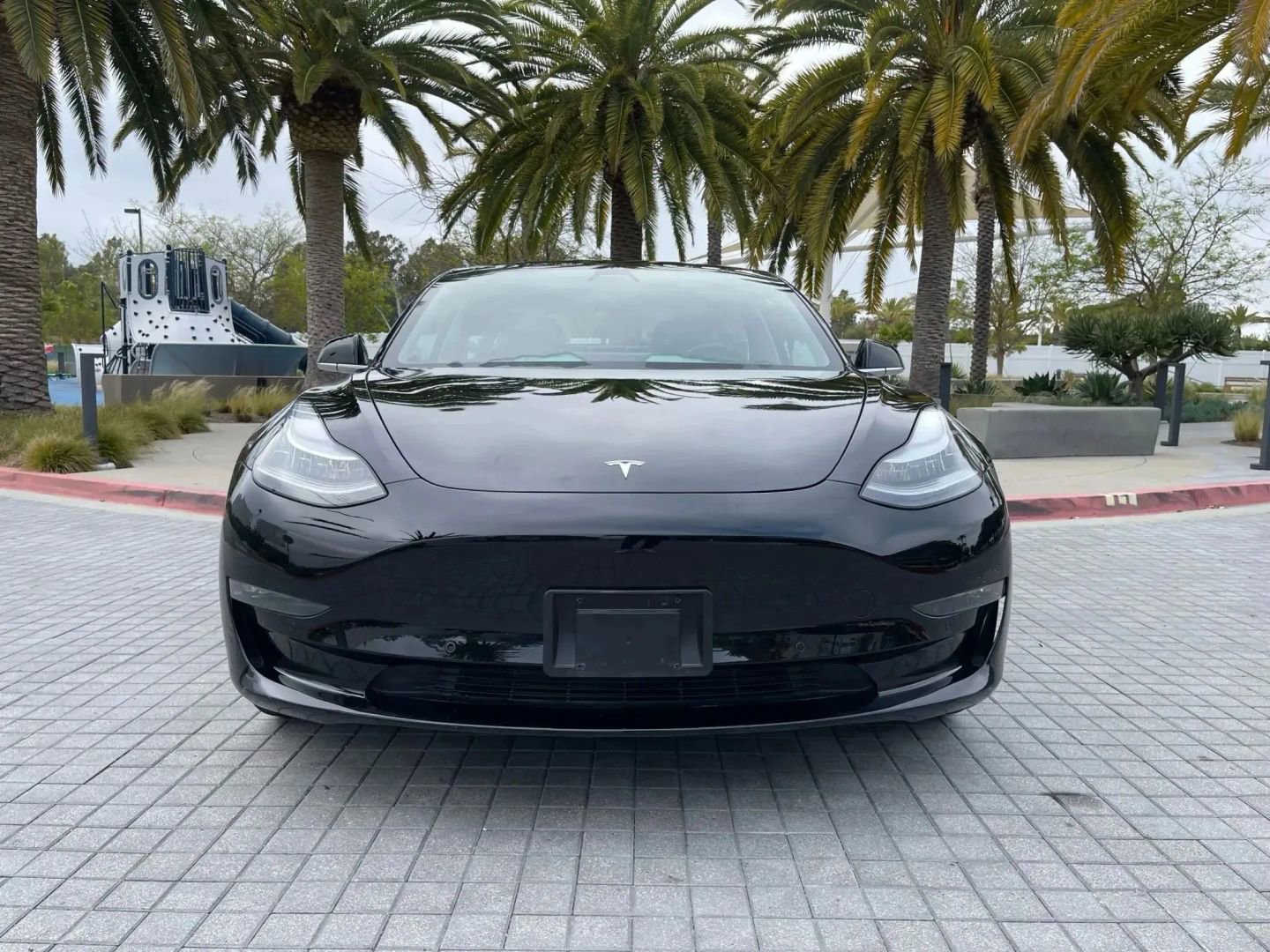 Used 2019 Tesla Model 3 Standard Range Plus image 3