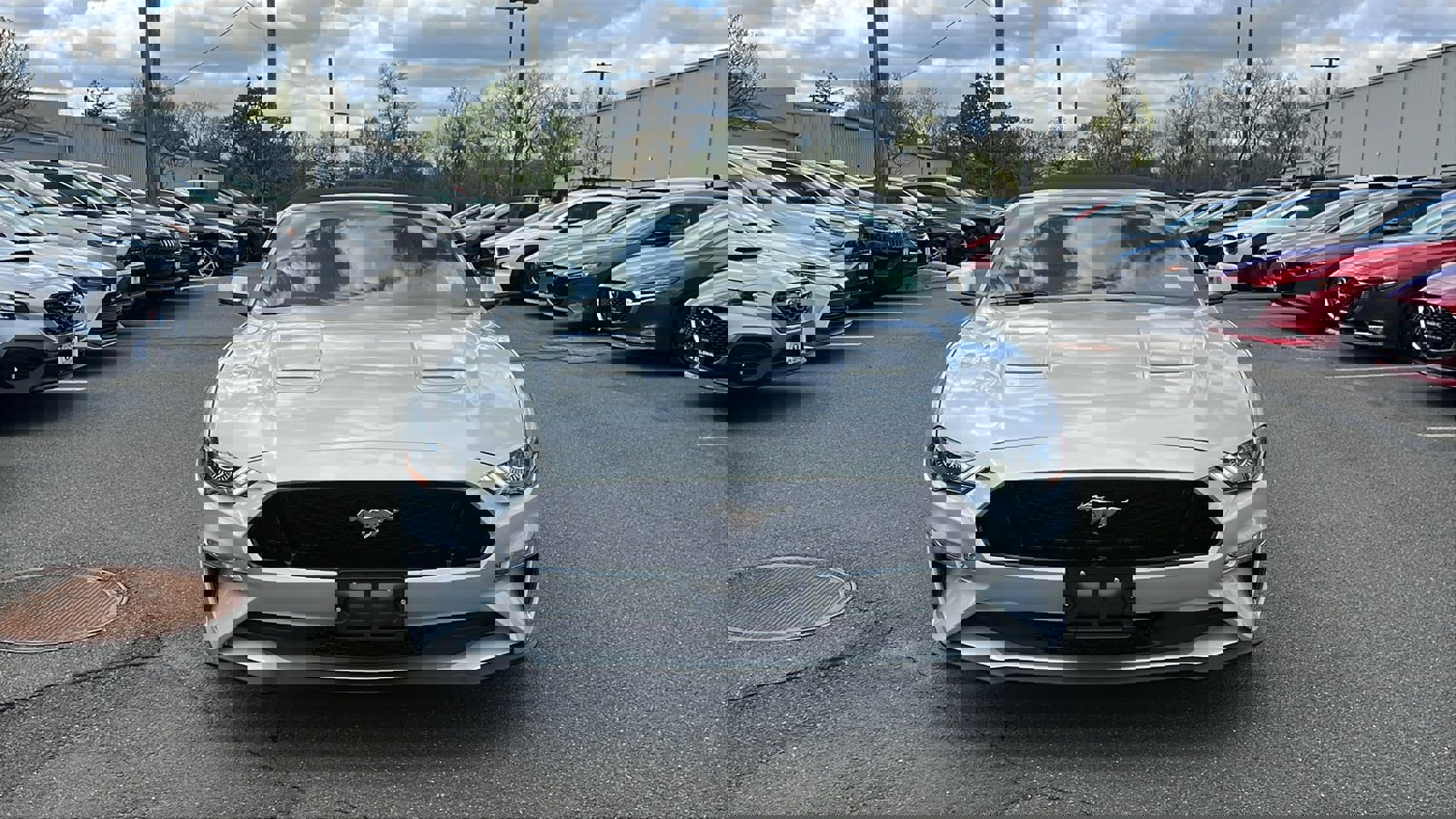 Used 2019 Ford Mustang GT Premium image 2