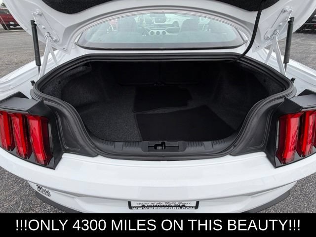 Used 2020 Ford Mustang Premium w/ Pony Package RWD image 10