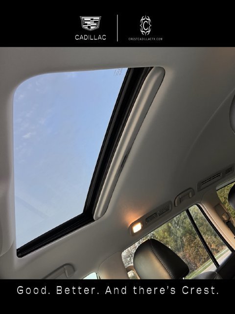 Used 2020 INFINITI QX80 Luxe w/ Proassist Package RWD image 19