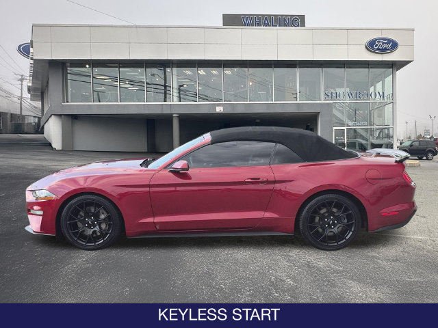 Used 2019 Ford Mustang Premium w/ Ecoboost Performance Package RWD image 5