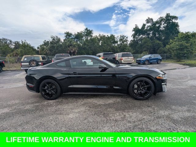 Used 2018 Ford Mustang GT w/ Equipment Group 301A RWD image 4