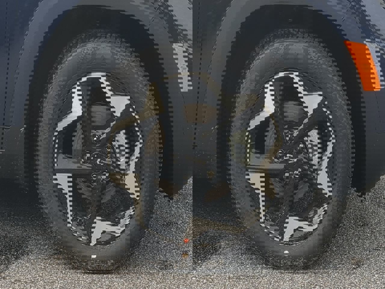 New 2026 Kia Seltos EX image 10