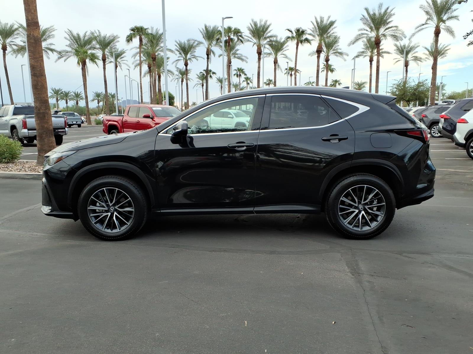 Used 2025 Lexus NX 350h AWD image 7