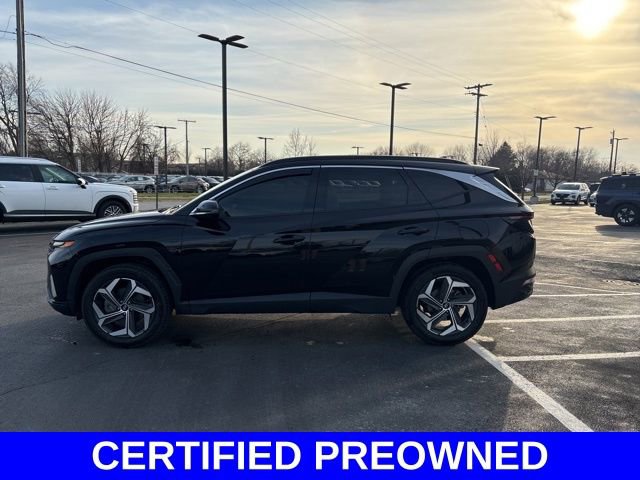 Used 2024 Hyundai Tucson Limited image 9