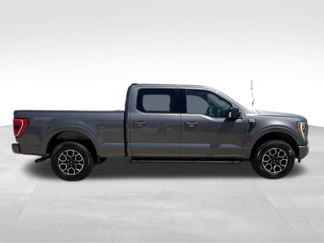 Used 2023 Ford F150 XLT w/ Equipment Group 302A High AWD/4WD image 19