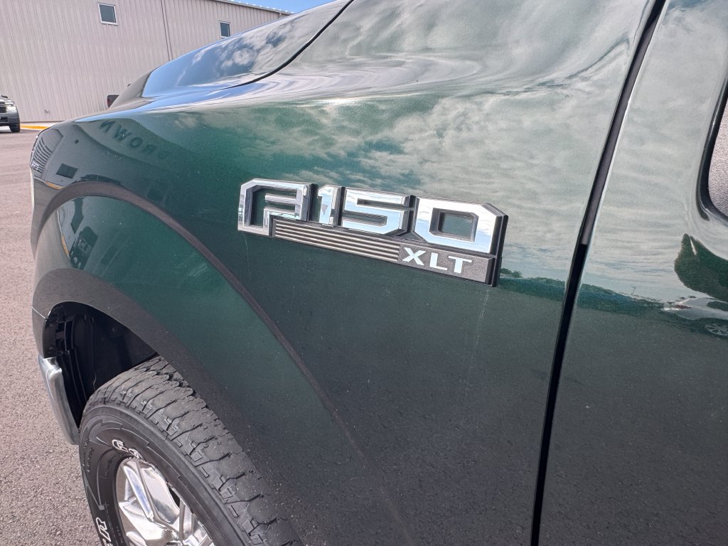Used 2016 Ford F150 XLT w/ Equipment Group 301A Mid AWD/4WD image 19