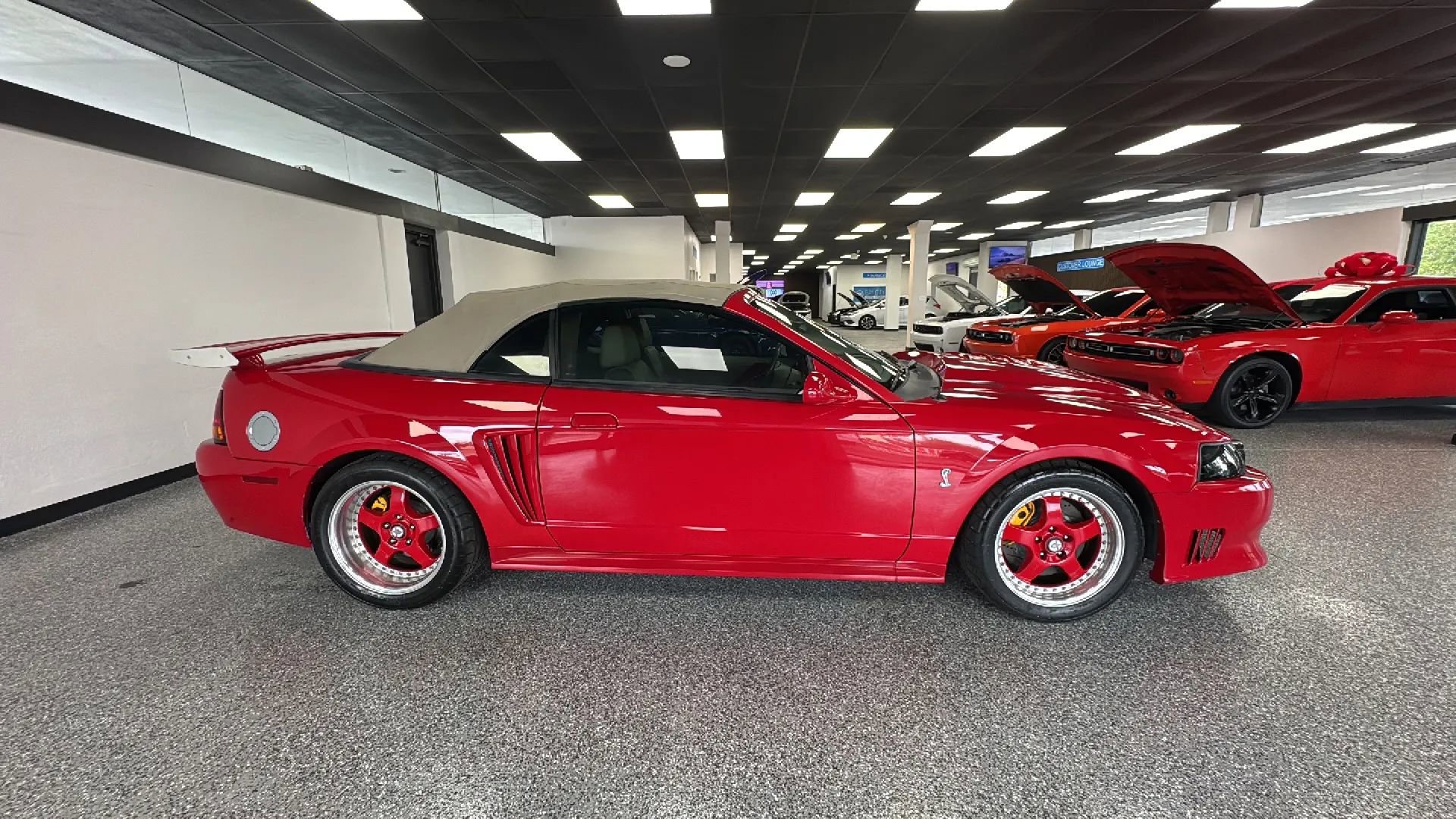 Used 1999 Ford Mustang Cobra RWD image 6