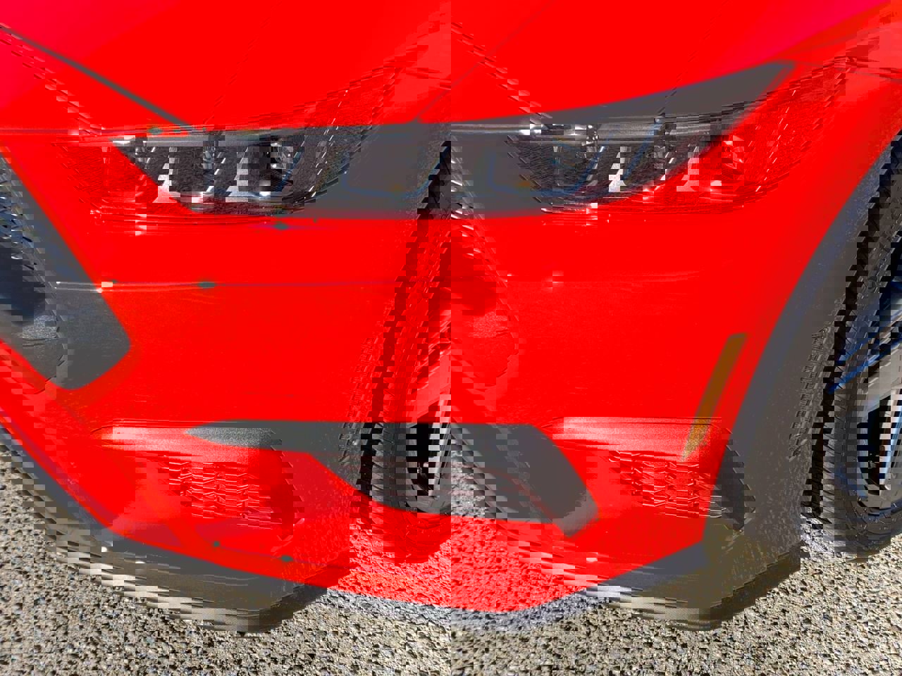 New 2025 Ford Mustang Convertible image 11