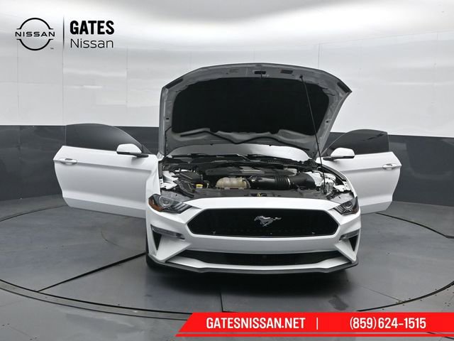 Used 2019 Ford Mustang GT Premium w/ Equipment Group 401A image 51