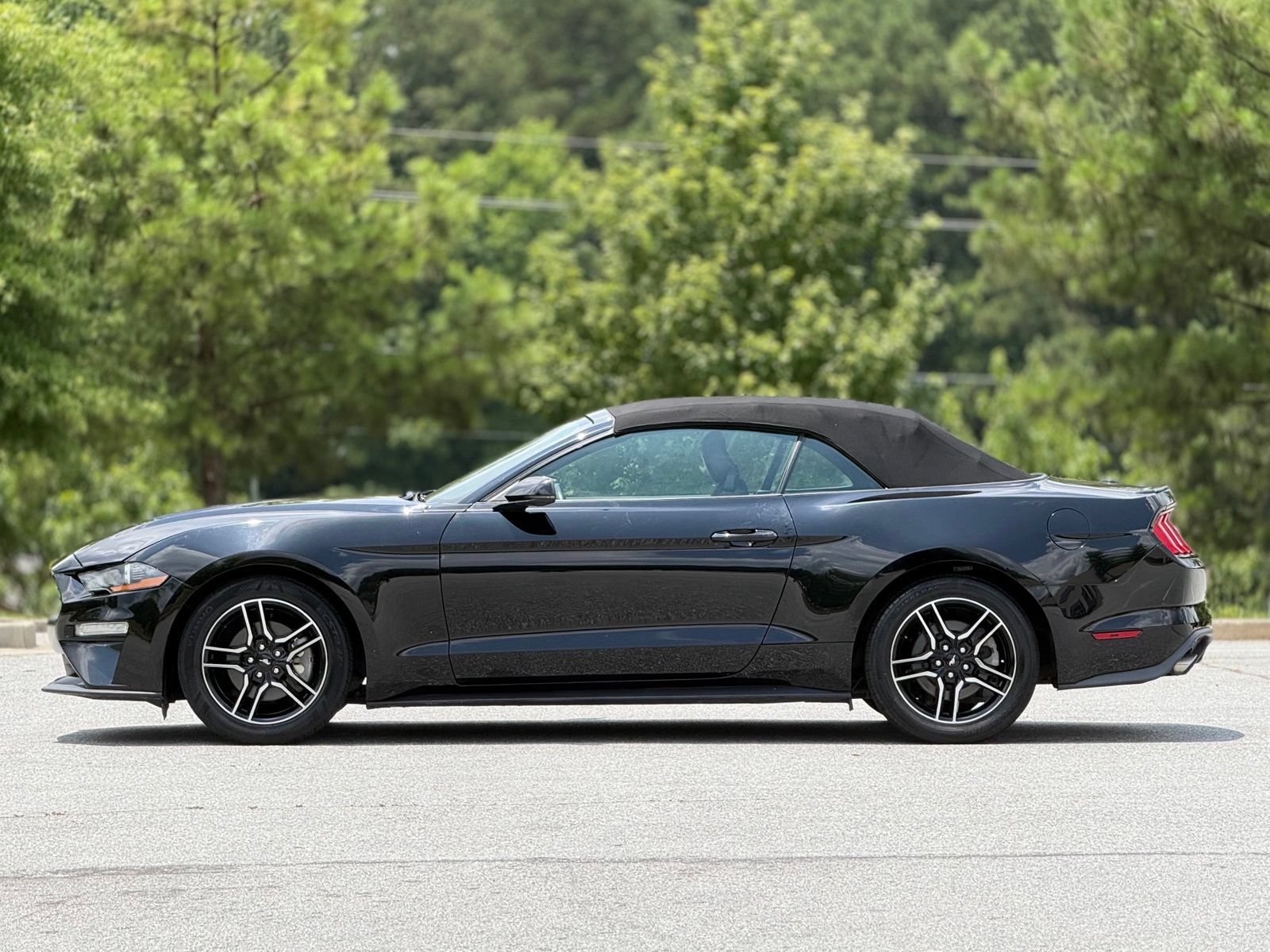 Used 2019 Ford Mustang Premium RWD image 9