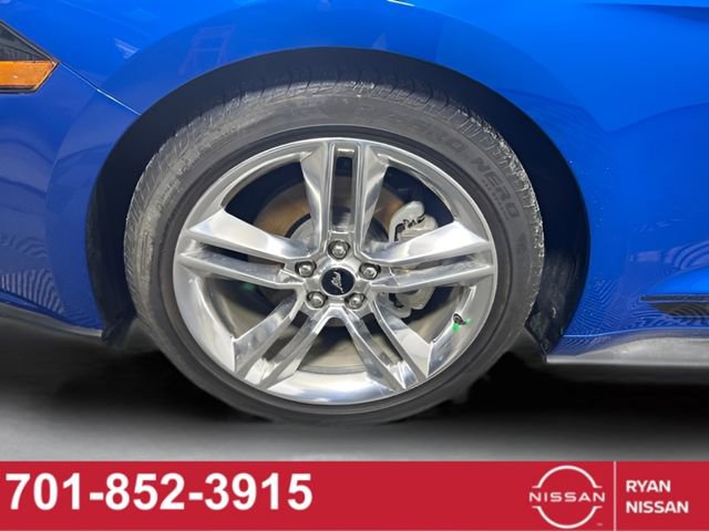 Used 2019 Ford Mustang Premium w/ Equipment Group 201A image 14