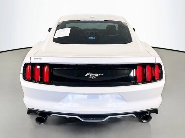 Used 2017 Ford Mustang Premium w/ Equipment Group 201A image 7