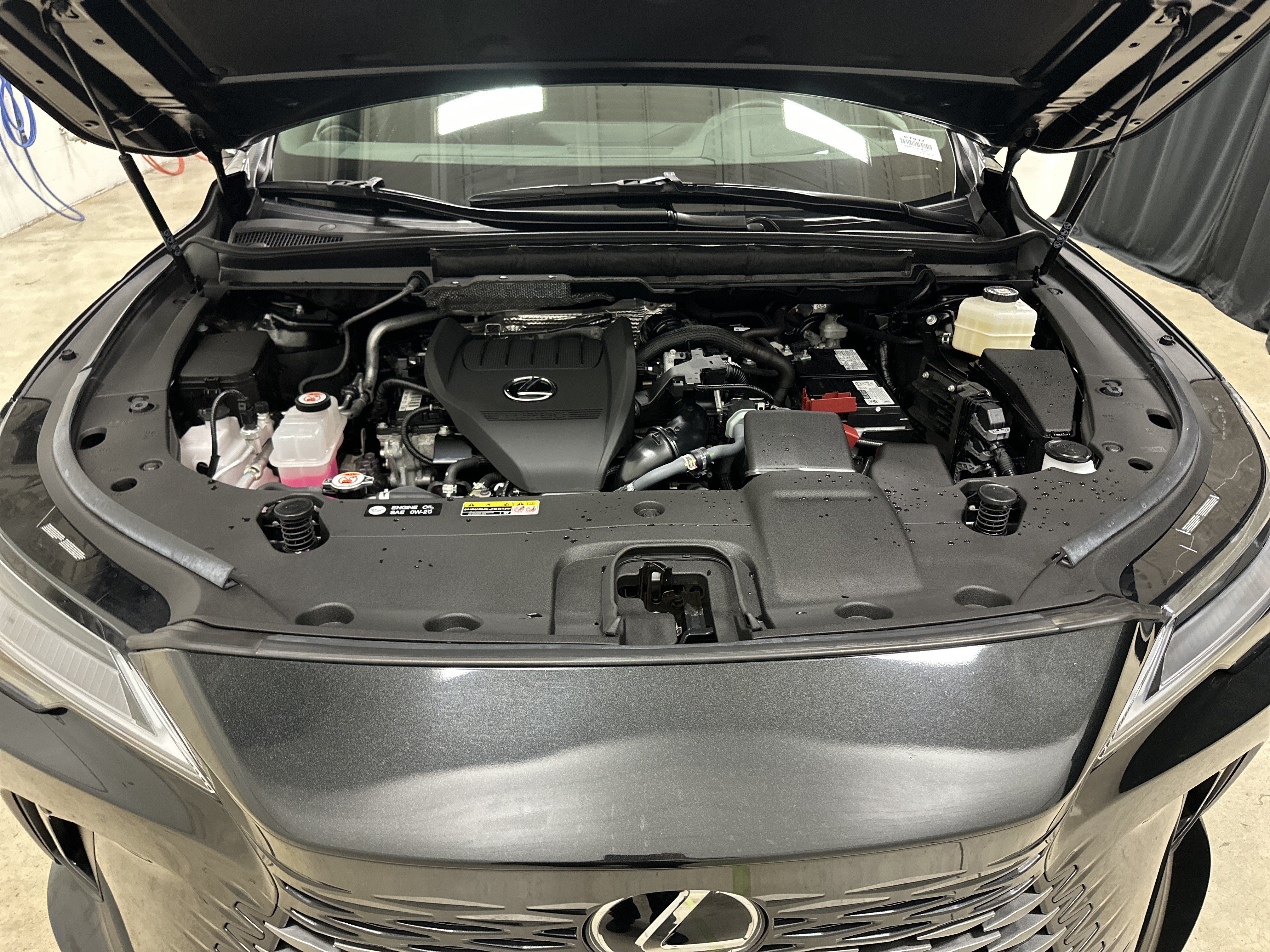 Certified 2025 Lexus RX 350 AWD w/ Convenience Package image 31
