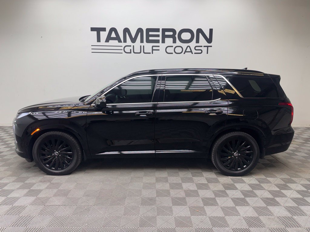 Used 2025 Hyundai Palisade Calligraphy AWD/4WD image 6