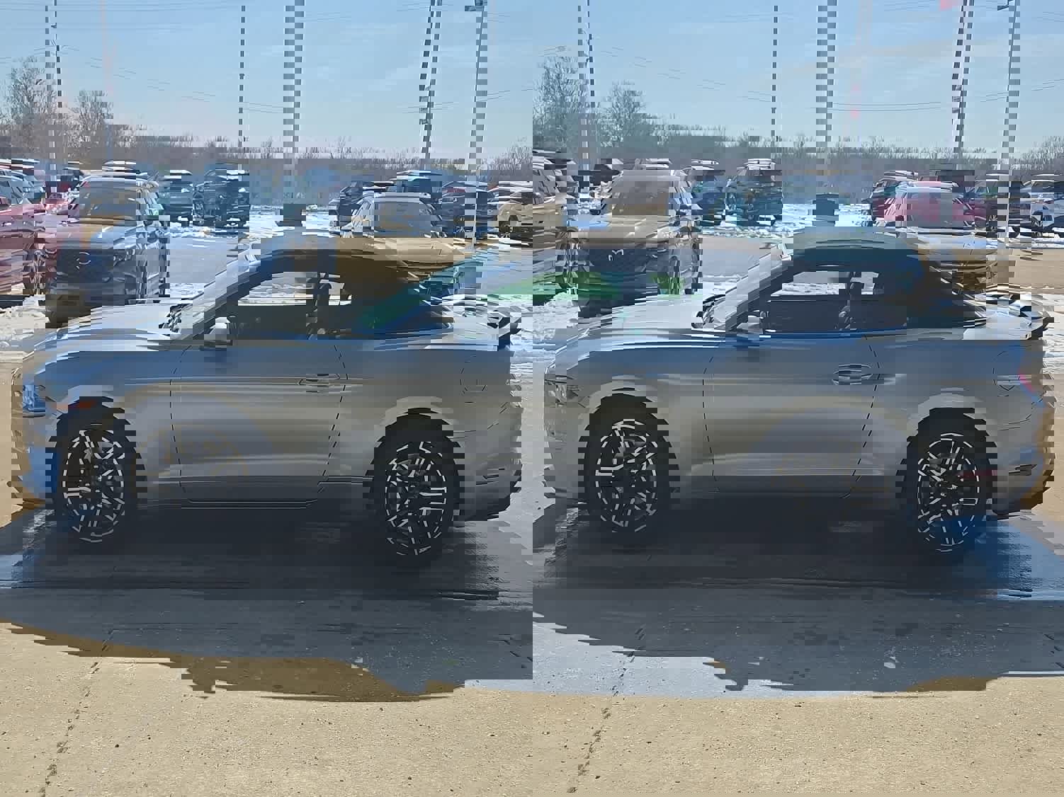 Used 2022 Ford Mustang Premium image 11