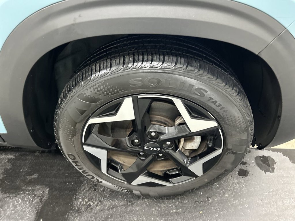 Certified 2024 Kia Seltos EX AWD/4WD image 8