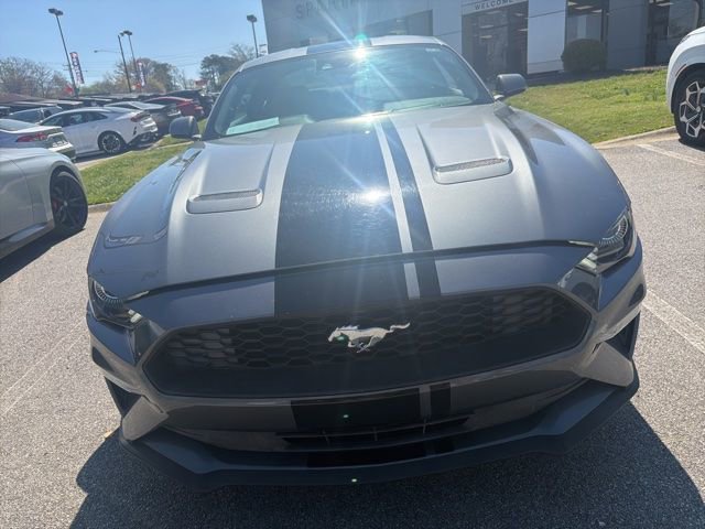 Used 2022 Ford Mustang EcoBoost w/ Equipment Group 101A image 2
