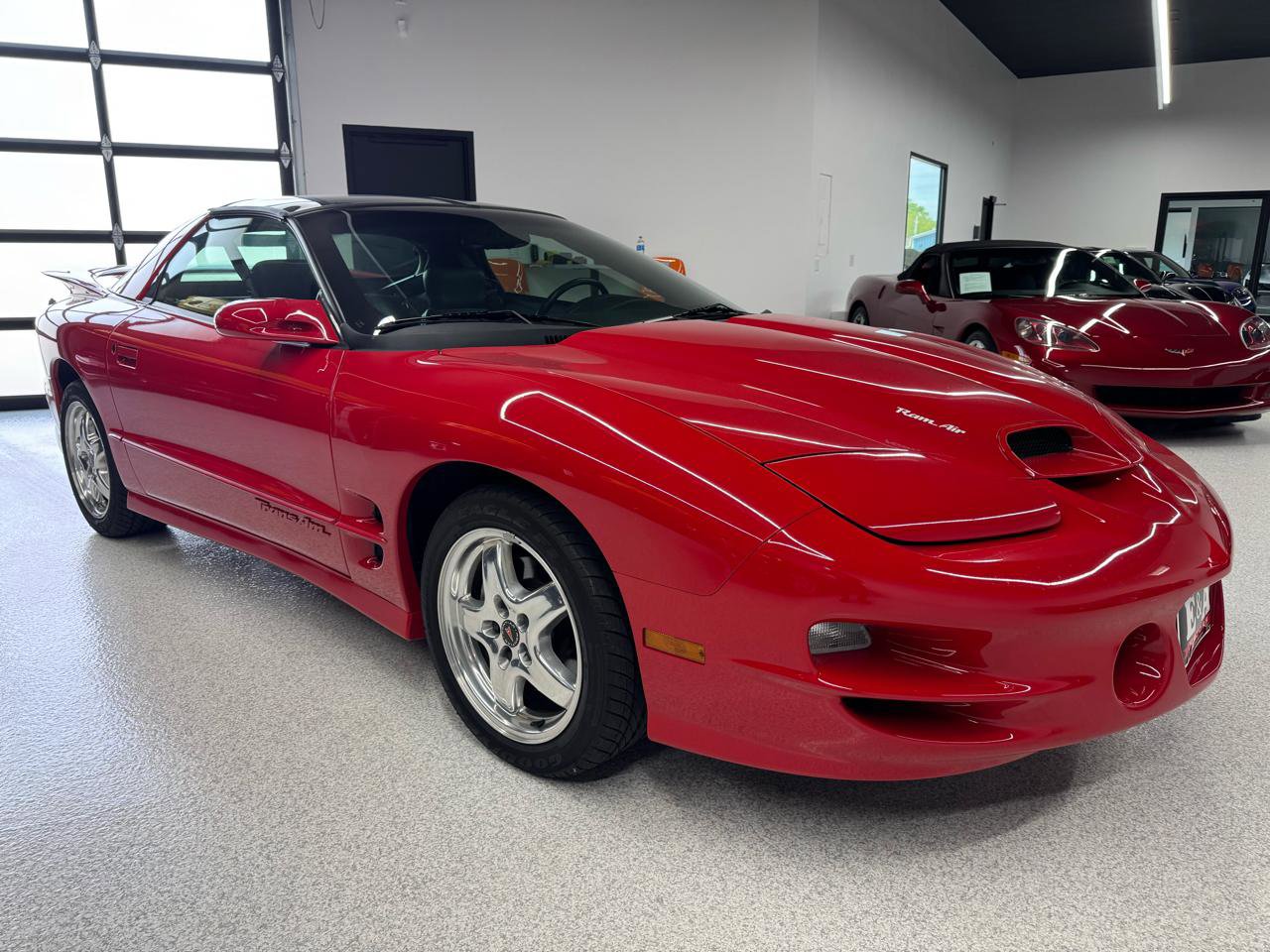 Used 2002 Pontiac Firebird Trans Am RWD image 5