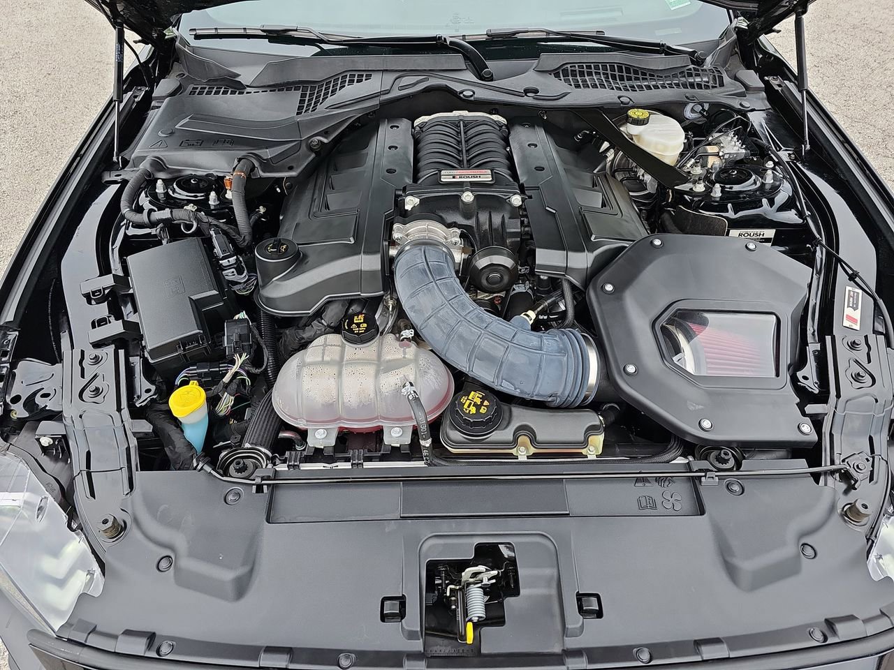 Used 2019 Ford Mustang GT Premium w/ GT Performance Package RWD image 33
