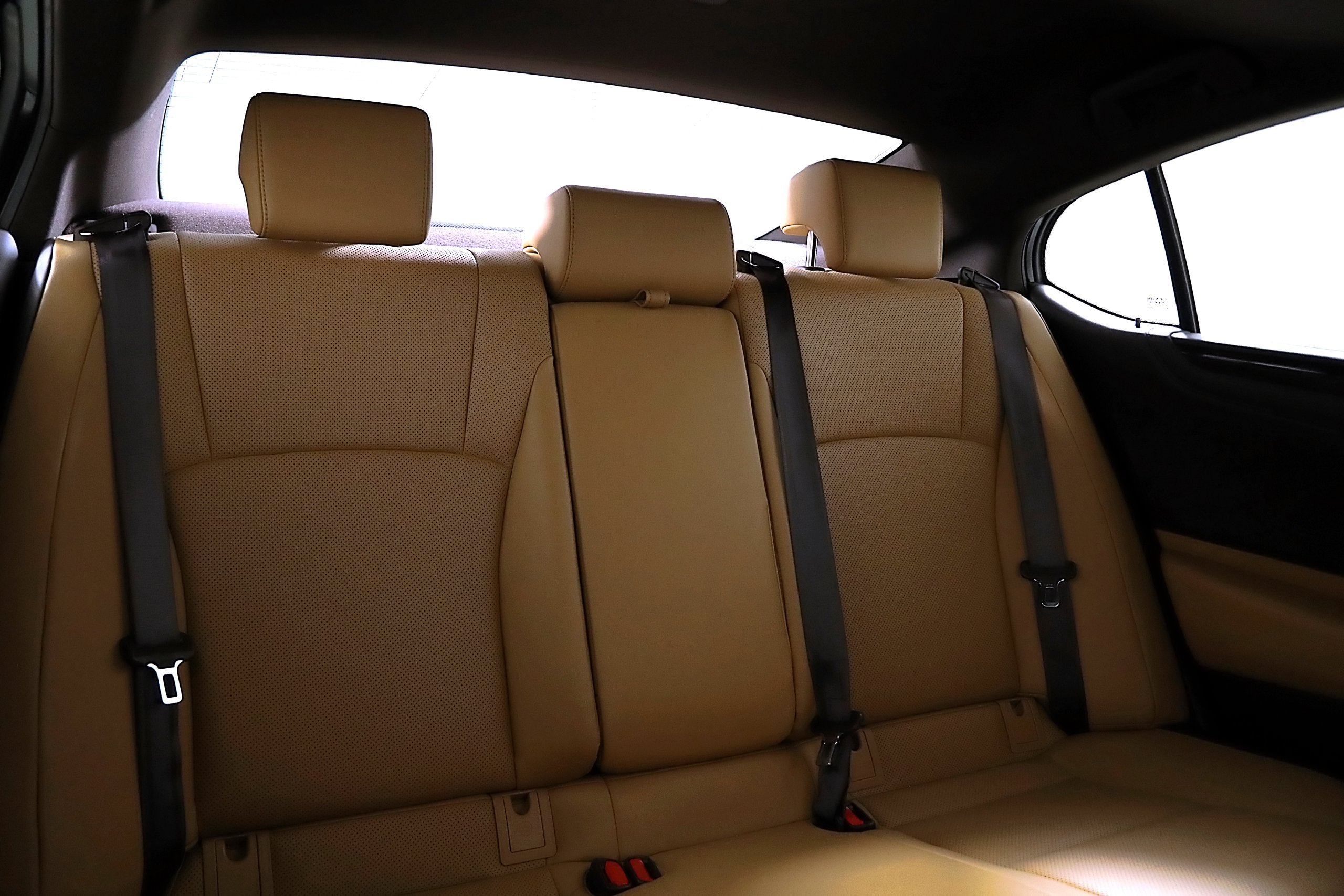 Used 2019 Lexus ES 300h w/ Premium Package FWD image 13