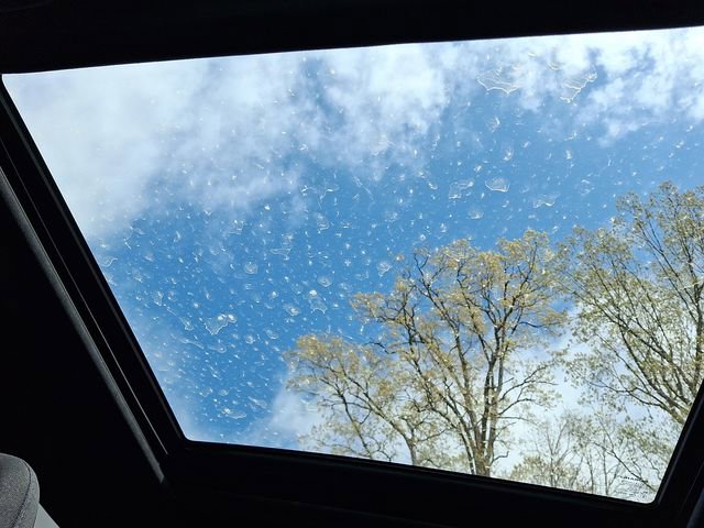 Certified 2025 Subaru Forester Premium image 14