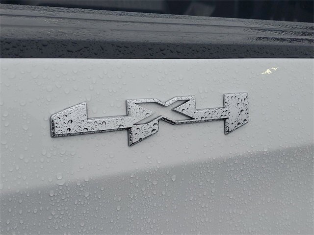 Used 2025 GMC Sierra 1500 Elevation image 6