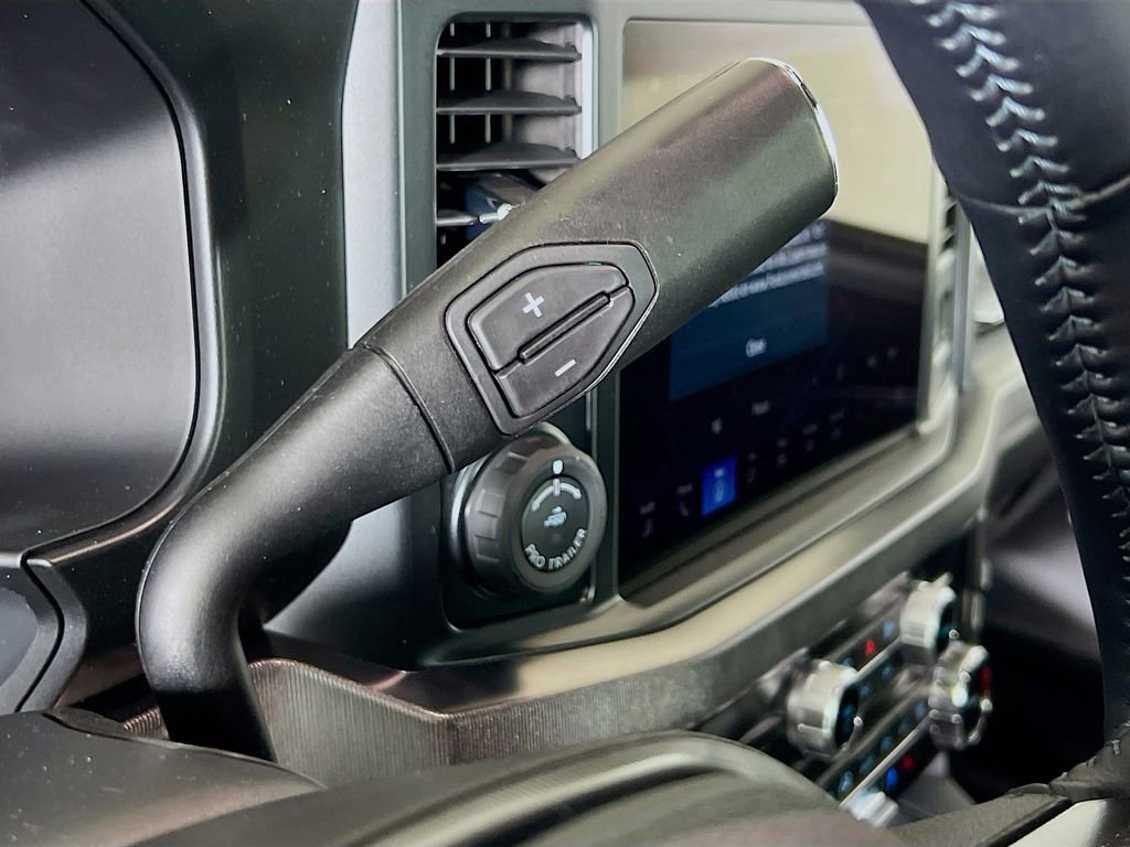 New 2025 Ford F250 Platinum image 10