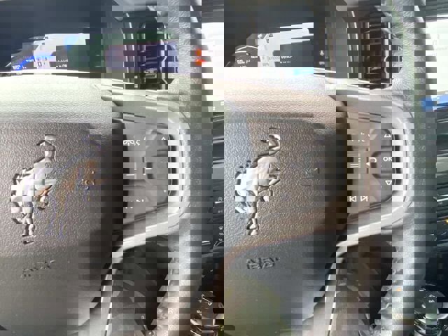 Used 2022 Ford Bronco Black Diamond image 29