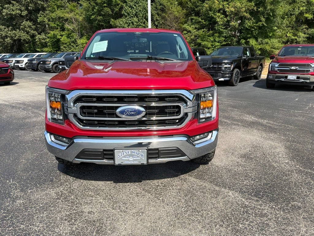 Used 2022 Ford F150 XLT w/ Equipment Group 302A High AWD/4WD image 8