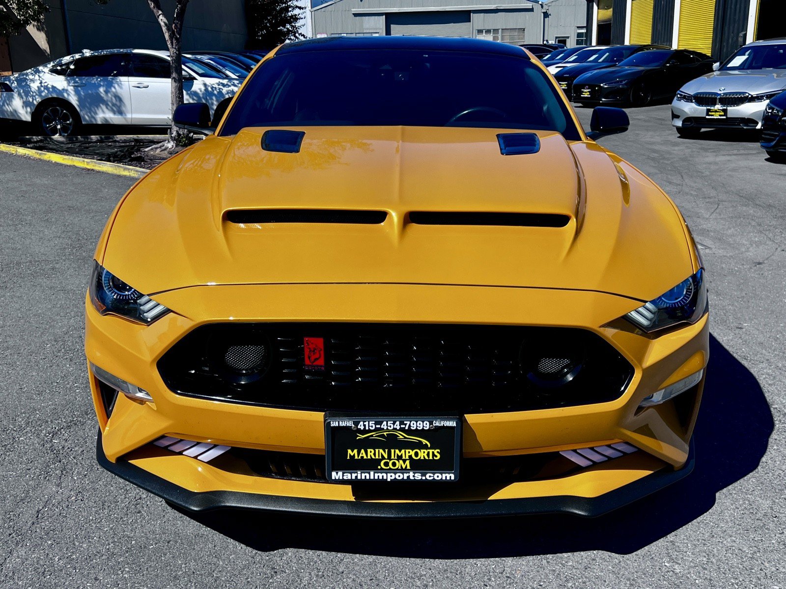 Used 2022 Ford Mustang GT w/ Equipment Group 301A RWD image 3