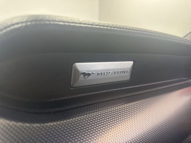 Used 2019 Ford Mustang GT w/ Black Accent Package image 19