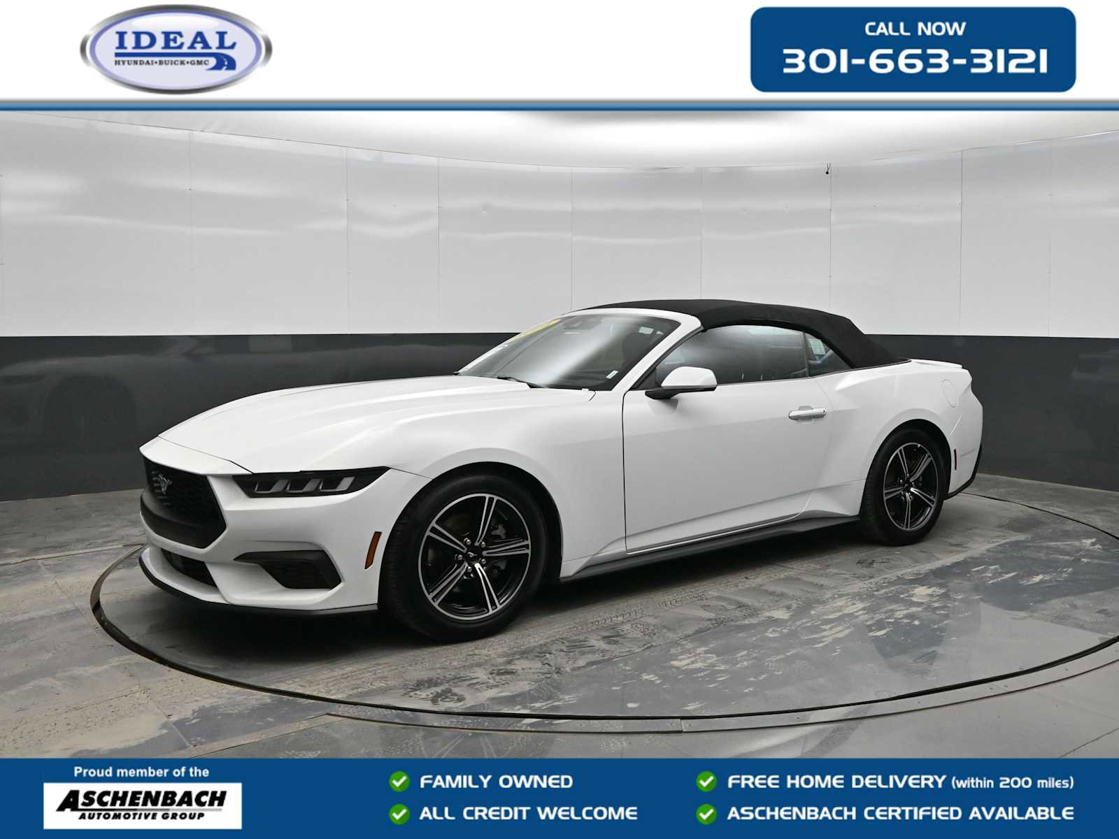 Used 2024 Ford Mustang Premium image 1