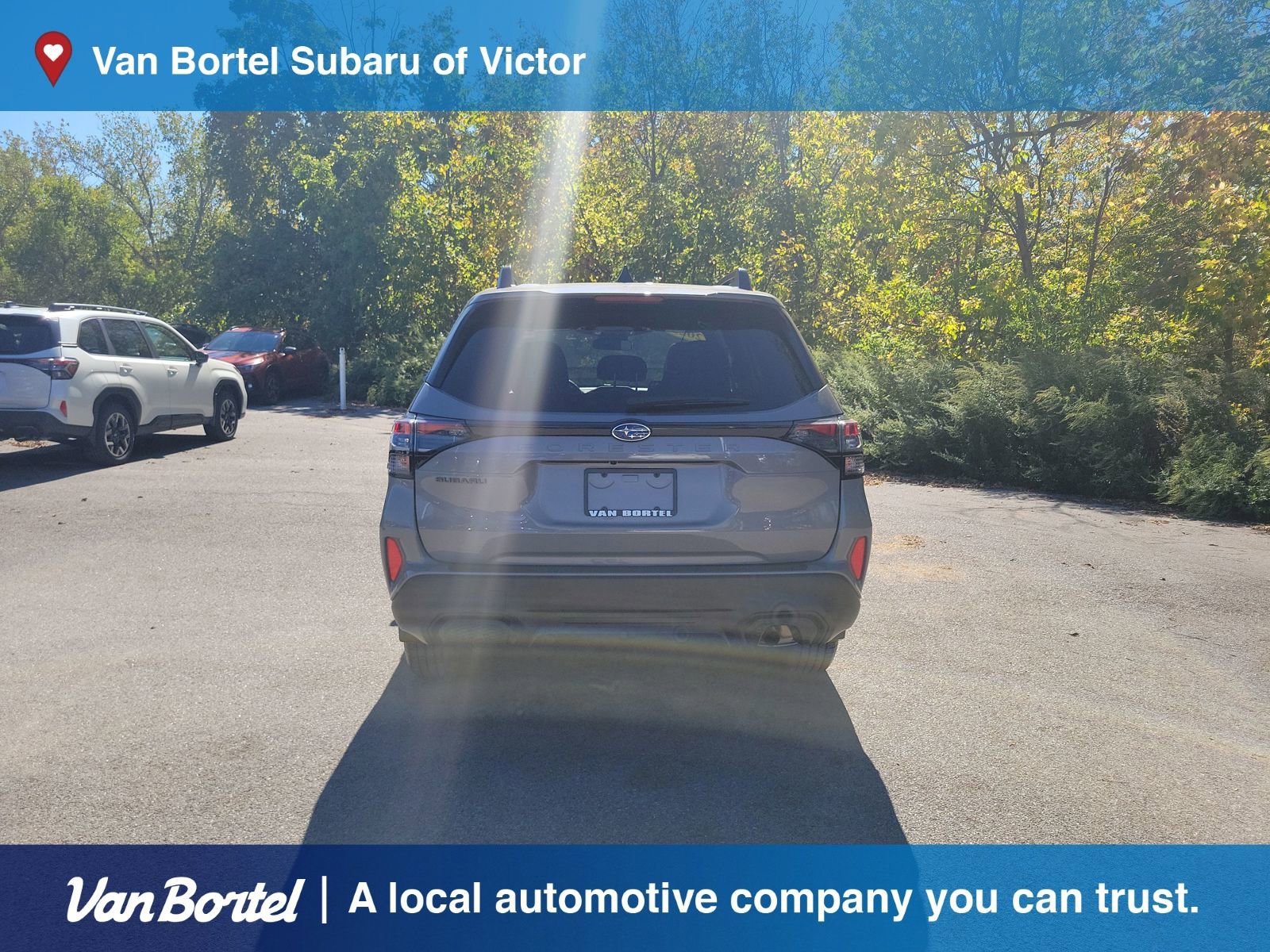 Used 2025 Subaru Forester Premium image 4