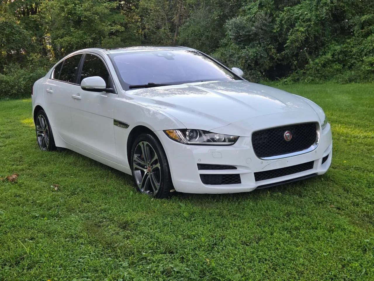 Used 2017 Jaguar XE Premium AWD/4WD image 3