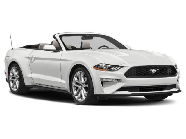 Used 2023 Ford Mustang Convertible w/ Equipment Group 101A image 6