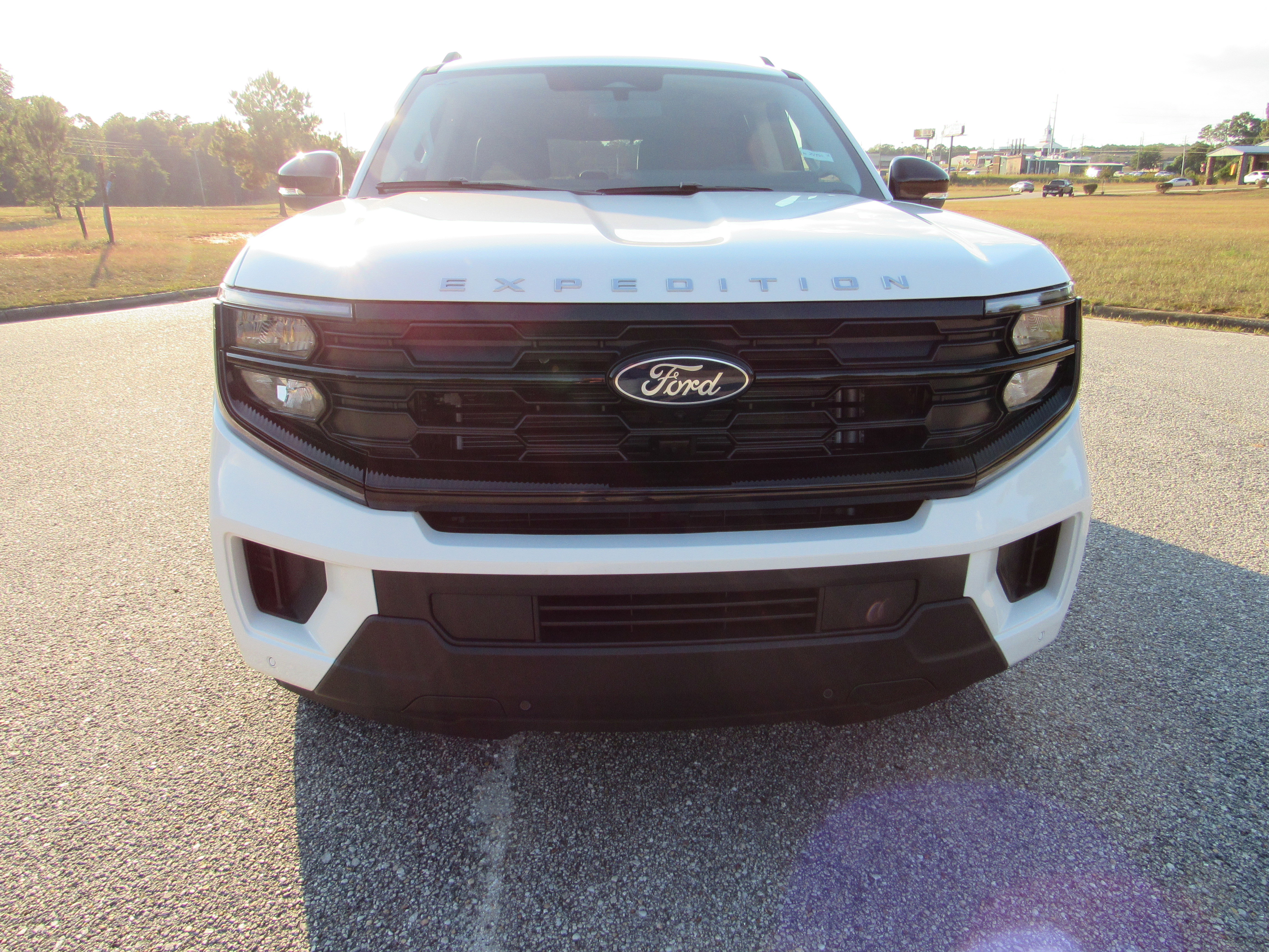 New 2025 Ford Expedition Active image 2