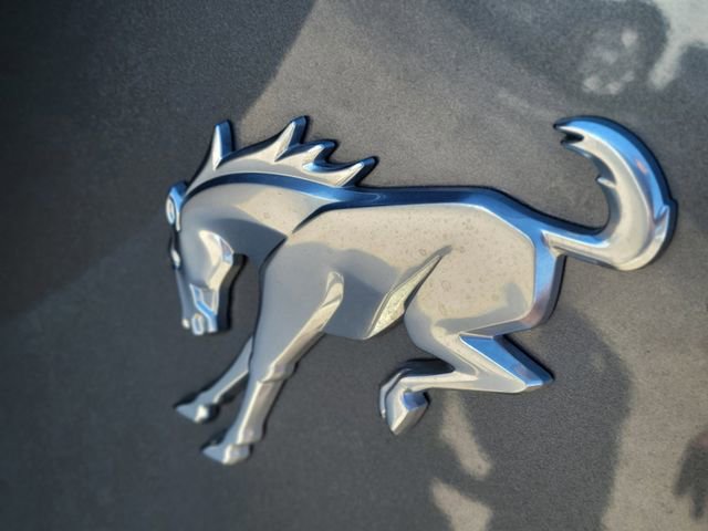 Used 2022 Ford Bronco Big Bend image 5