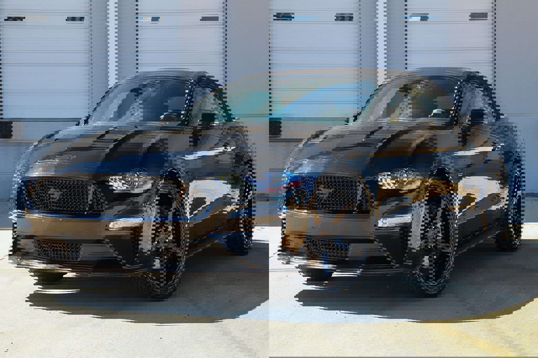 Used 2019 Ford Mustang GT Premium w/ Equipment Group 401A image 1